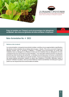 Malawi french brief policy economic final