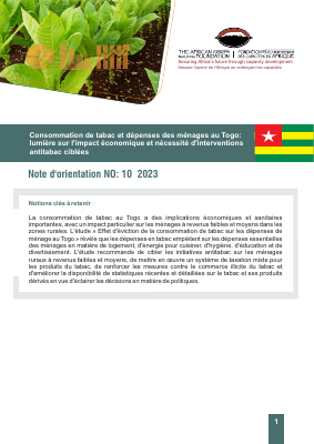 Togo french brief policy economic2 Final