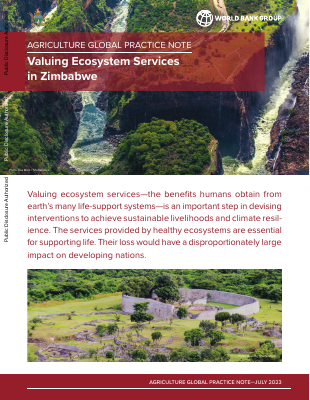 Valuing Ecosystem Services