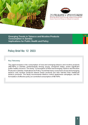 Zambia English brief policy economic Final